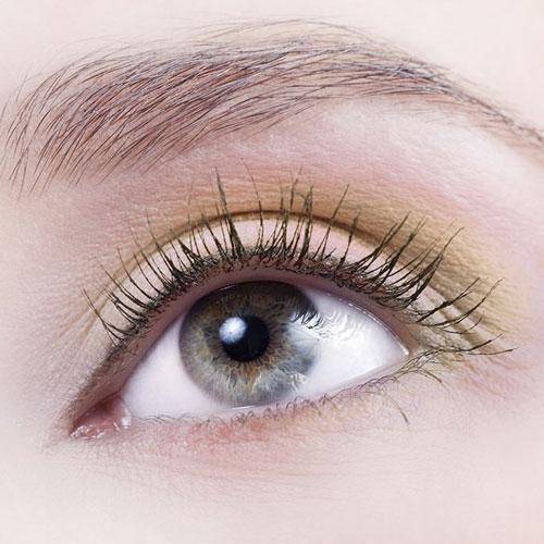 Recarga de Sombras de Ojos Orgánica - Couleur Caramel sombra de ojos Couleur Caramel