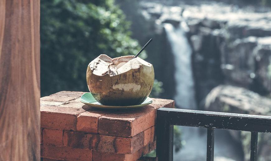 Conoce algunos beneficios del coco para la piel