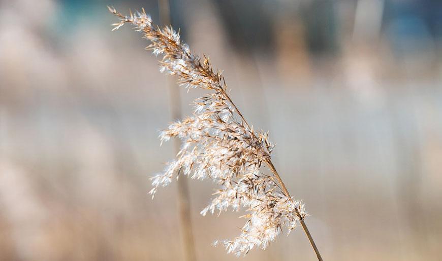 6 razones ecológicas para elegir Couleur Caramel
